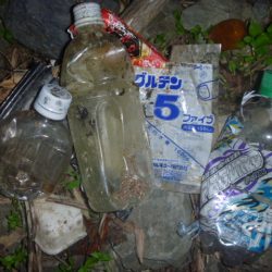 清掃活動：濁りバス