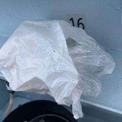 清掃活動：初めての天秤タチウオ