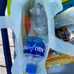 清掃活動：来た〜アオリ3kgアップ