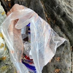 清掃活動：磯フカセ釣り