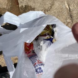 清掃活動：カゴ釣りで尺アジ