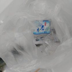 清掃活動：サワラジャンプに投げたら違うのが…