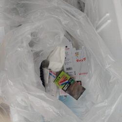 清掃活動：コノシロ引掛けから！