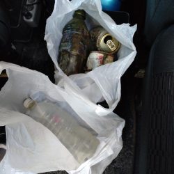 清掃活動：2023年初フィッシュ