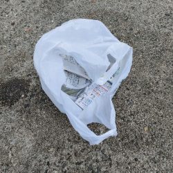 清掃活動：けっきょくは穴釣り