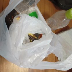 清掃活動：アジングへ