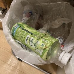 清掃活動：ボラボラ！