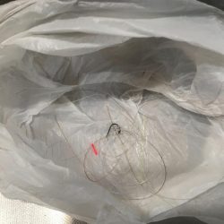 清掃活動：雨降る前に