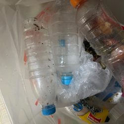 清掃活動：諦めかけたその時‼…