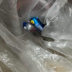 清掃活動：波高いしボーッとリーリングしてた…