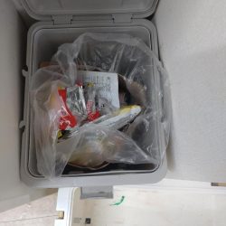 清掃活動：G7サミット、宮島周辺でのタイラ…