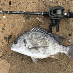 赤水でもバイト連発