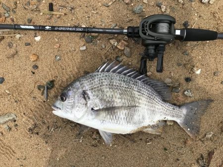 赤水でもバイト連発