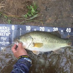 なんとついてるんだ、リミットメイク！