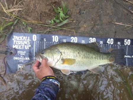 なんとついてるんだ、リミットメイク！