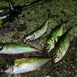 ところ変わり・・・