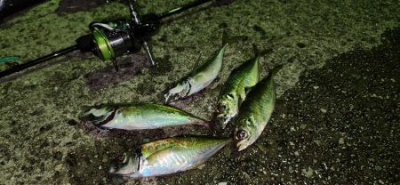 ところ変わり・・・