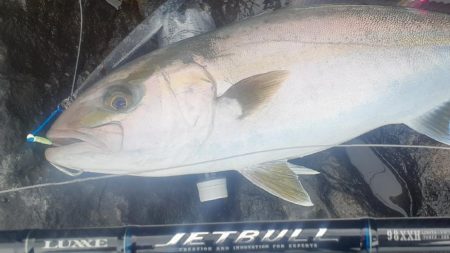 バーティカルリミット7/0プロト(磯カンパ…