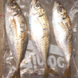 人は多くなってきたなぁ