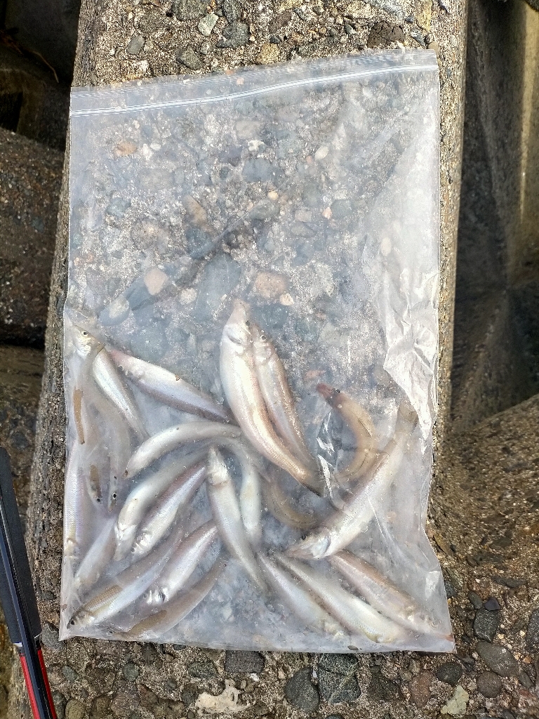 またまた接待キス!!