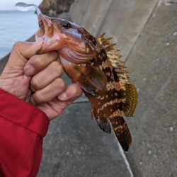 陸っぱり釣行記