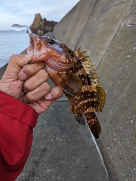 陸っぱり釣行記