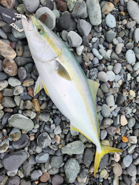 ショアジギング