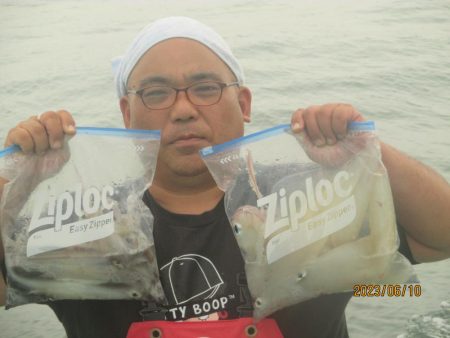 マルイカ　25杯　釣れました(^_-)-☆…