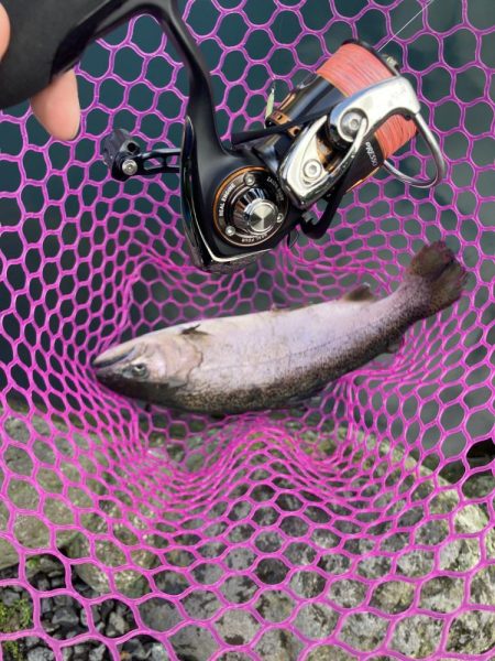 釣食浪漫 ～釣って食べて家庭円満～