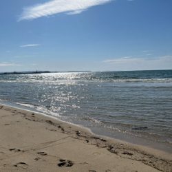 晴天でキスも釣れて大満足でした