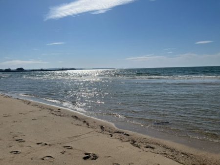 晴天でキスも釣れて大満足でした