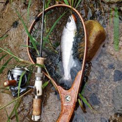 梅雨時は日本海を釣れ