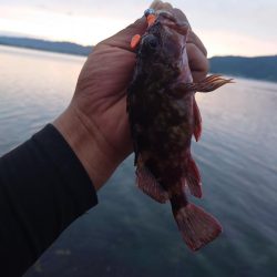 早く仕事終わったので