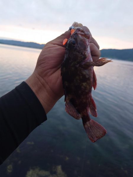 早く仕事終わったので