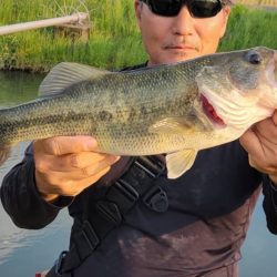 ロープレッシャーと水質