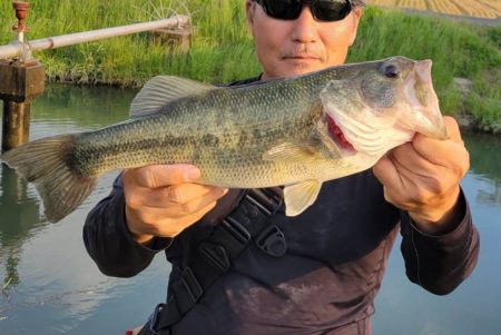 ロープレッシャーと水質