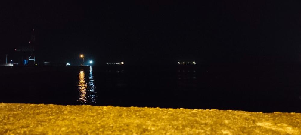 ロックフィッシュ