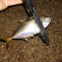 チャンスが少ない!