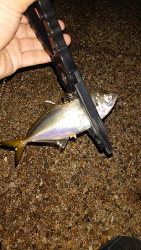 チャンスが少ない！