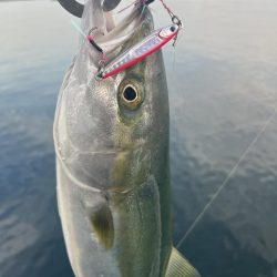 大分川河口　付近