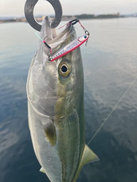 大分川河口　付近