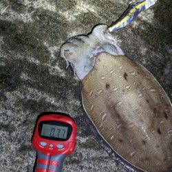 釣り日和と釣果の相反