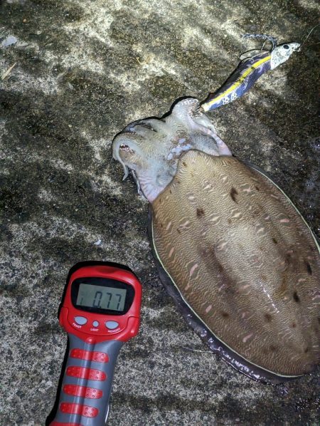 釣り日和と釣果の相反