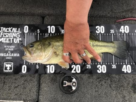 遠賀川ロッドマンイブニングガイド