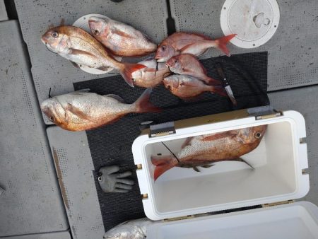 小潮で頑張ったタイラバ