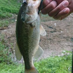 5本リミットメイク