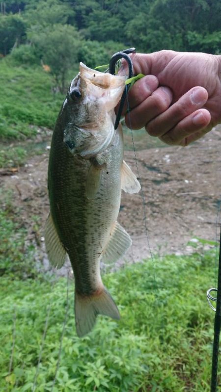 5本リミットメイク