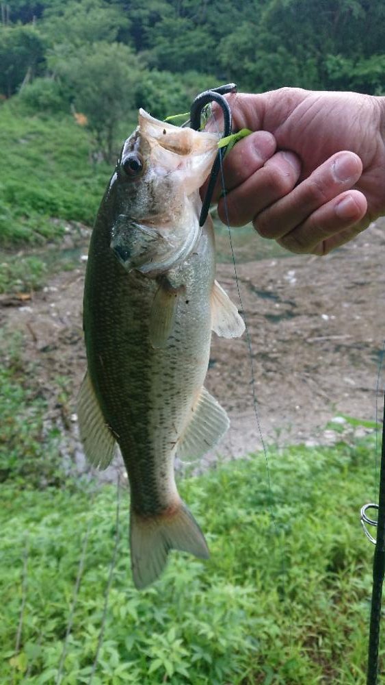 5本リミットメイク