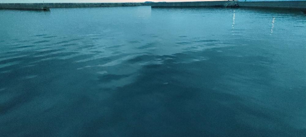 目当ての魚は釣れず