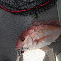 大爆死も何とか捻り出し